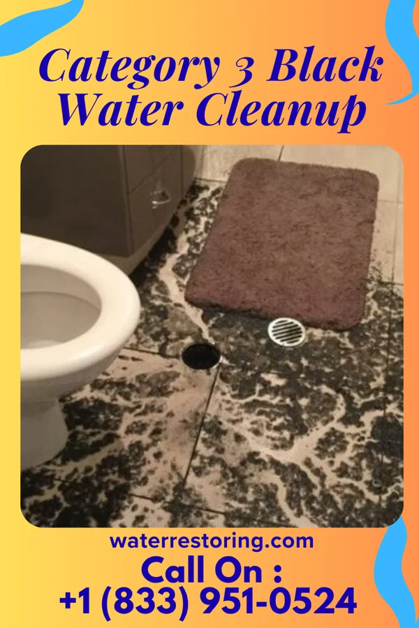 Category 3 Black Water Cleanup in Powellsville, NC