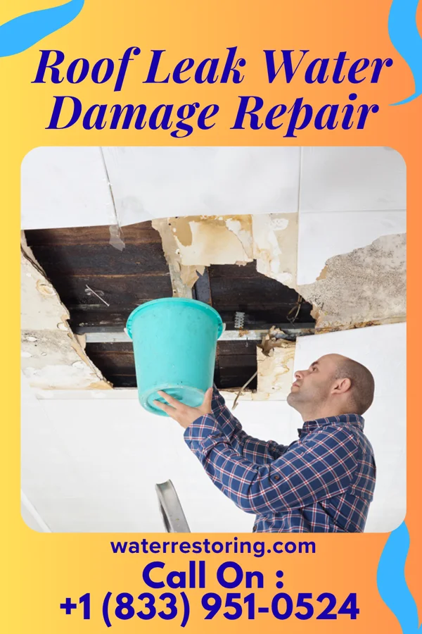 Roof Leak Water Damage Repair in Powellsville, NC