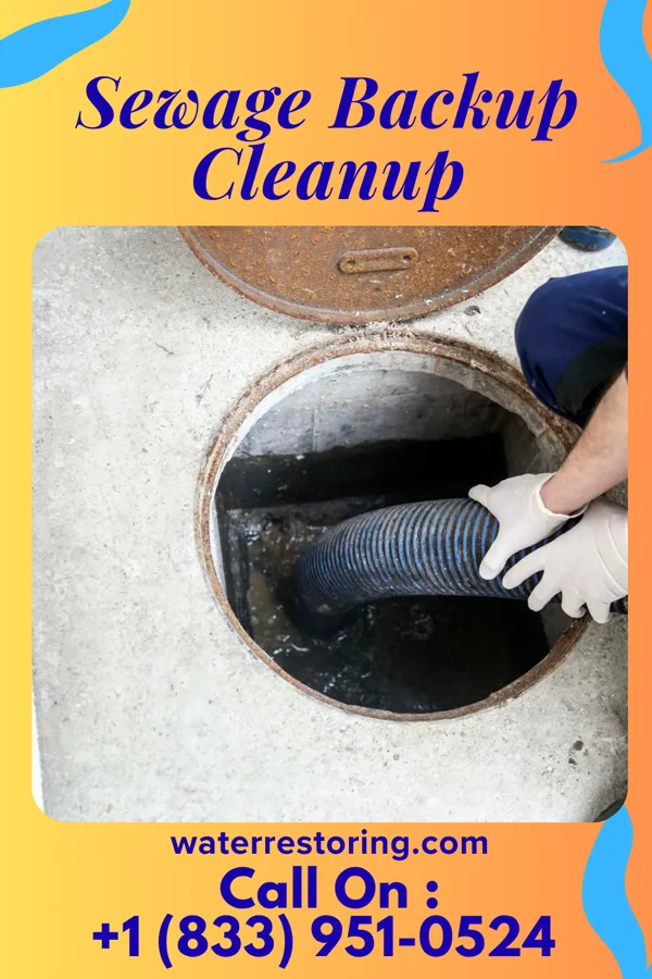 Sewage Backup Cleanup in Powellsville, NC